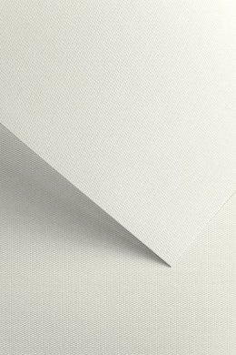 Karton ozdobny Galeria Papieru Floryda biały