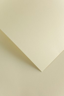 Karton ozdobny Galeria Papieru Floryda kremowy