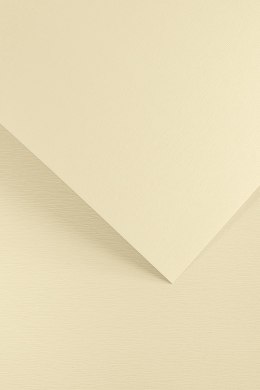 Karton ozdobny Galeria Papieru Kora kremowy