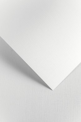 Karton ozdobny Galeria Papieru Kratka 240g/m2 biały