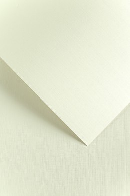 Karton ozdobny Galeria Papieru Kratka 240g/m2 kremowy
