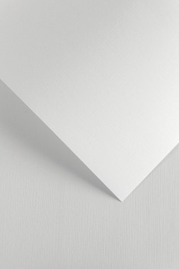 Karton ozdobny Galeria Papieru Płótno 240g/m2 biały
