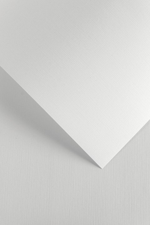 Karton ozdobny Galeria Papieru Płótno 240g/m2 biały
