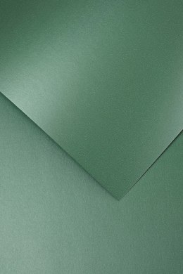 Karton ozdobny Galeria Papieru Premium Iceland zielony