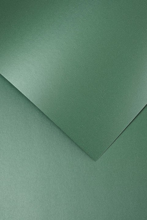 Karton ozdobny Galeria Papieru Premium Iceland zielony