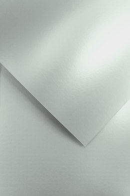 Karton ozdobny Galeria Papieru Premium Millenium srebrny