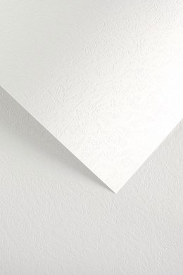 Karton ozdobny Galeria Papieru Skóra biały