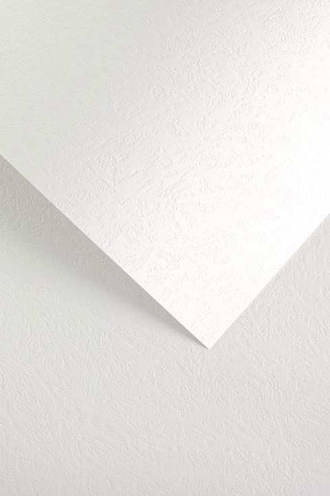 Karton ozdobny Galeria Papieru Skóra biały