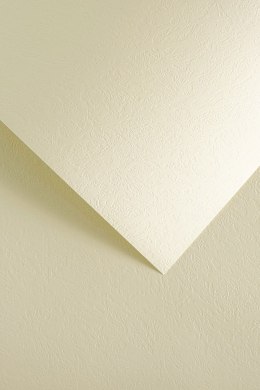 Karton ozdobny Galeria Papieru Skóra kremowy