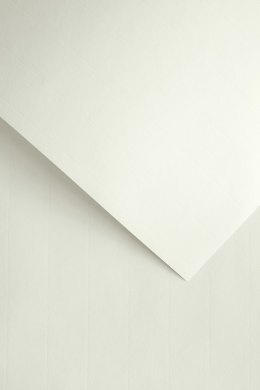 Papier ozdobny Galeria Papieru Laid biały