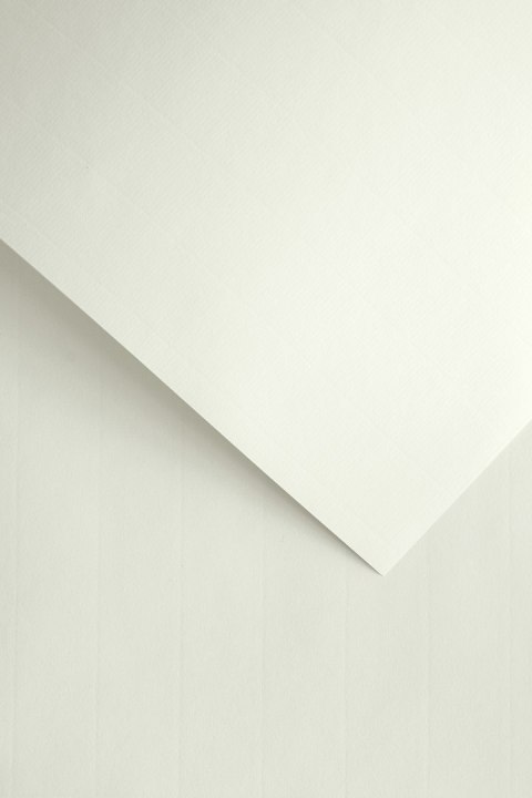 Papier ozdobny Galeria Papieru Laid biały