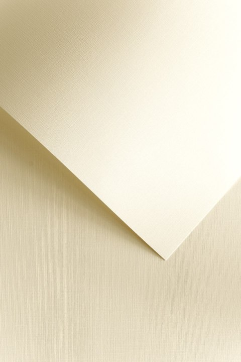 Papier ozdobny Galeria Papieru Płótno kremowy