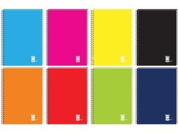 Kołozeszyt Interdruk One Color A5 100 kartek