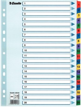 Przekładki kartonowe Esselte Mylar A4 numeryczne 1 - 20