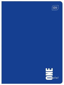 Zeszyt Interdruk One Color A5 96 kartek