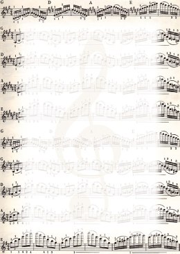 Dyplom GALERIA PAPIERU A4/25 170g NUTY 213317