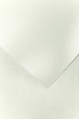 Papier ozdobny GALERIA PAPIERU A4/20 230g HOLLAND DIAMENTOWA BIEL 200501 EAN : 5903069007926