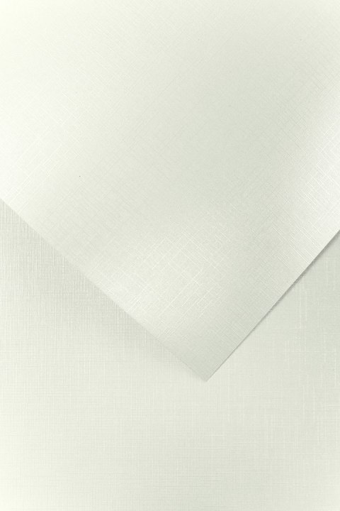 Papier ozdobny GALERIA PAPIERU A4/20 230g HOLLAND DIAMENTOWA BIEL 200501 EAN : 5903069007926