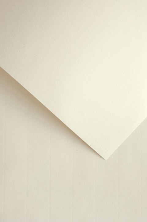 Papier ozdobny GALERIA PAPIERU LAID beżowy 110g /50/ 206903