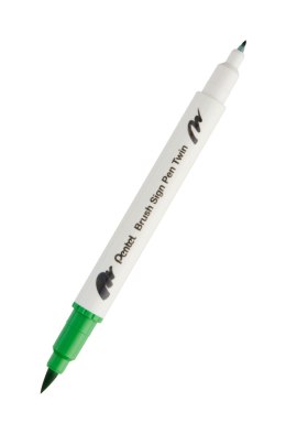 Pisak PENTEL BRUSH SIGNT 2 różne końcówki do kaligrafii SESW30C-T111 LIGHT GREEN EAN : 4711577071985