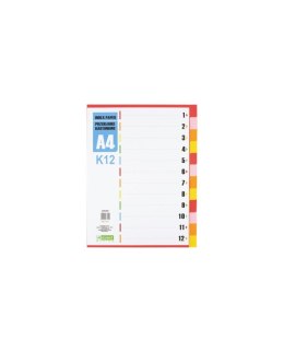 Przekładka D.RECT A4 12 kolorów kartonowa 009399