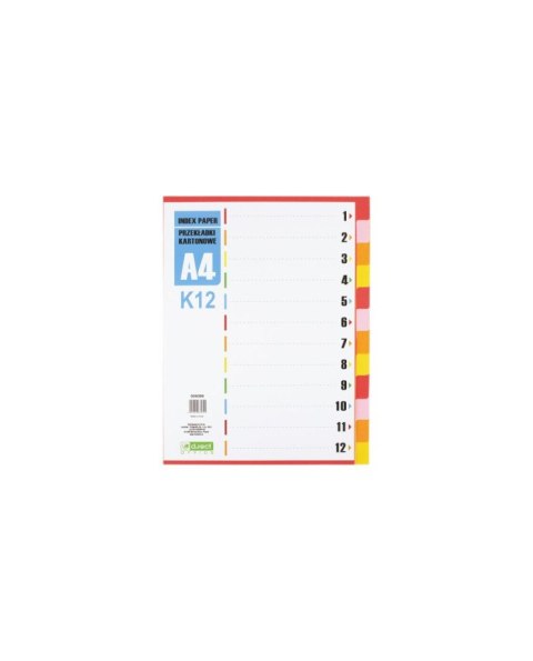 Przekładka D.RECT A4 12 kolorów kartonowa 009399