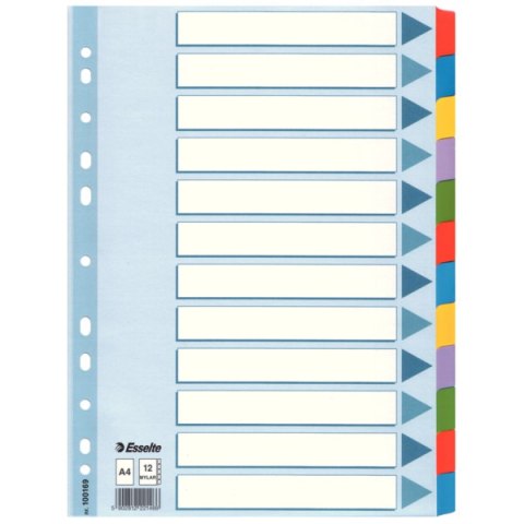 Przekładka ESSELTE Mylar 12 kolorów 100169 EAN : 5902812221466